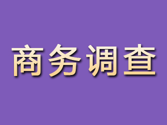 沿河商务调查